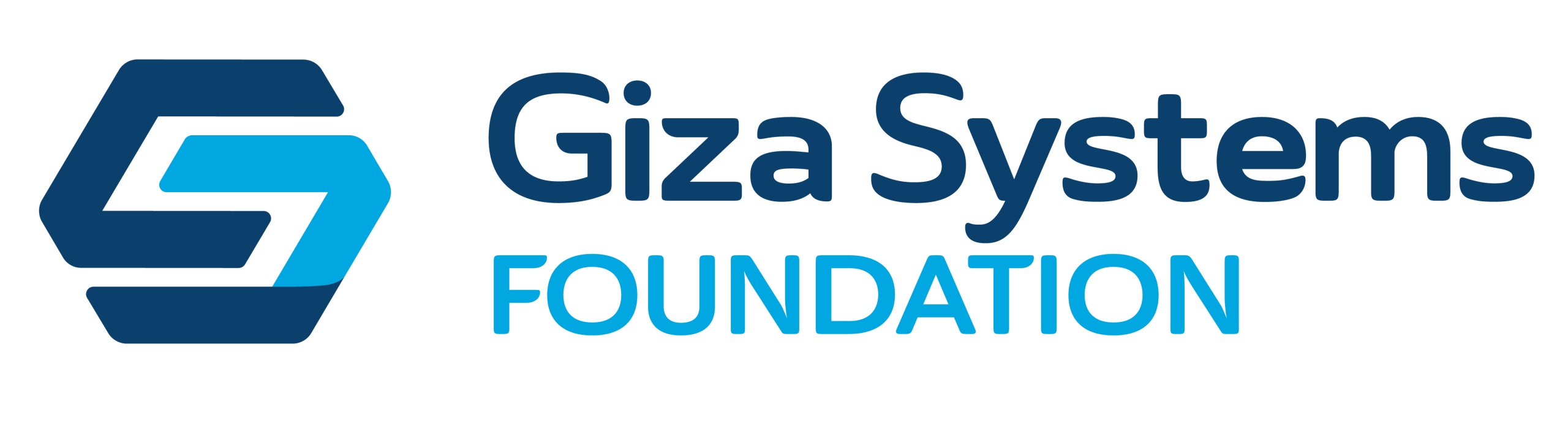 GS-Foundation